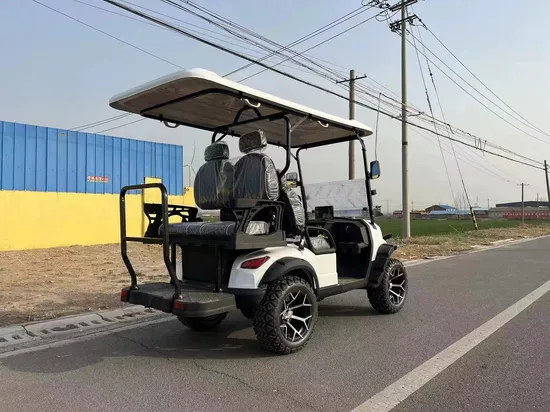 2024 New 48V Electric Golf Carts 2 Person Seats off Road Golf Scooter 4 Wheel Lithium 4 Seat Solar Golf Cart