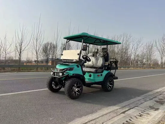 2024 New 48V Electric Golf Carts 2 Person Seats off Road Golf Scooter 4 Wheel Lithium 4 Seat Solar Golf Cart