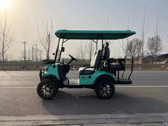 2024 New 48V Electric Golf Carts 2 Person Seats off Road Golf Scooter 4 Wheel Lithium 4 Seat Solar Golf Cart