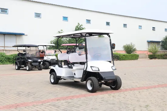 2024 New Launched Passenger Wholesale 4 Wheel 4 Seats 5kw 7.5kw AC 72V Lithium Battery Electric Hunting Golf Cart