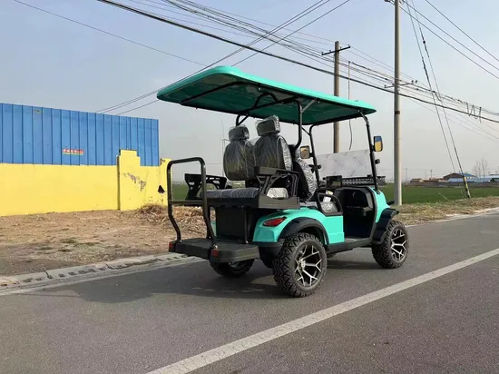 4+2 6 Seater Electric Golf Car New Stylish Golf Cart for Hunting with High Cost Performance