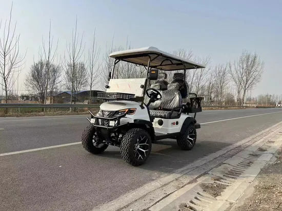 4+2 6 Seater Electric Golf Car New Stylish Golf Cart for Hunting with High Cost Performance