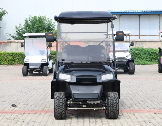 6 Seats Golf Car 5kw Motor Independent Suspension Disc Brake Power Steering 14 Inch Tires Electric Golf Cart