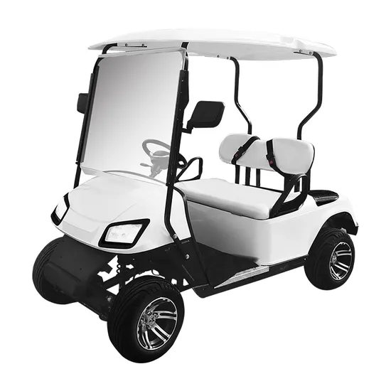 Best New Model Style MD Electric Golf Buggy Hunting Cart with 4+2 Seater CE DOT 48/72V Lithium Battery 5kw/7.5kw White Golf Cart