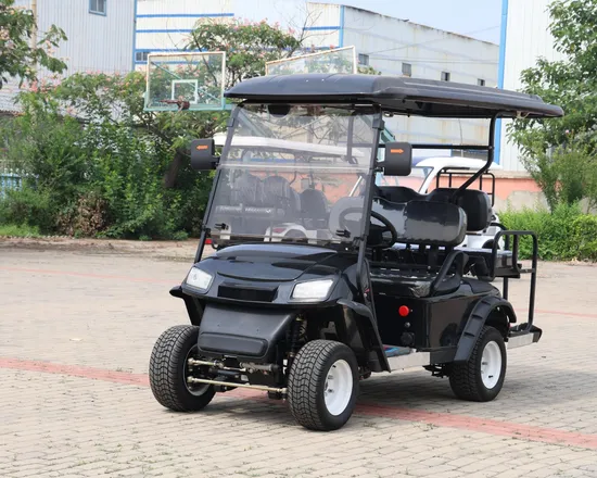 China Factory Wholesale 48V/60V/72V Lead Acid/Lithium Battery Golf Carts 2 4 6 Seats Beach Buggy Hunting Electric Golf Cartnew Style Double Swing Arm Club Golf