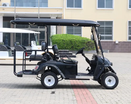 China Factory Wholesale 48V/60V/72V Lead Acid/Lithium Battery Golf Carts 2 4 6 Seats Beach Buggy Hunting Electric Golf Cartnew Style Double Swing Arm Club Golf