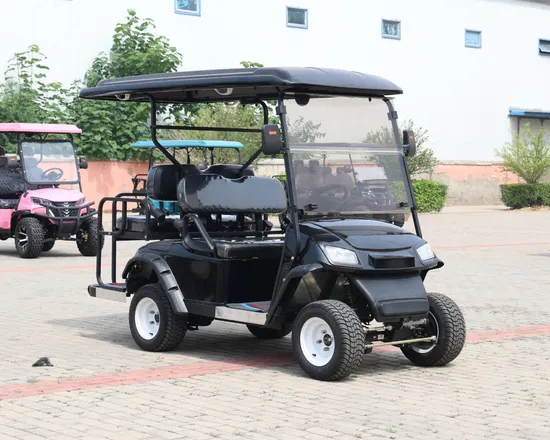 China Factory Wholesale 48V/60V/72V Lead Acid/Lithium Battery Golf Carts 2 4 6 Seats Beach Buggy Hunting Electric Golf Cartnew Style Double Swing Arm Club Golf