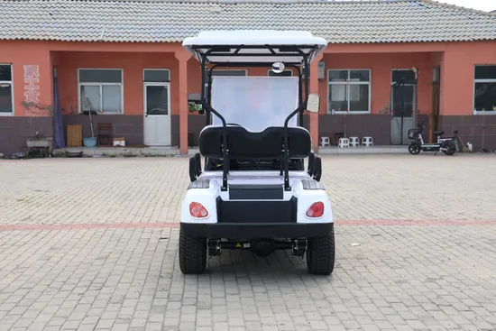 China Factory Wholesale 48V/60V/72V Lead Acid/Lithium Battery Golf Carts 2 4 6 Seats Beach Buggy Hunting Electric Golf Cartnew Style Double Swing Arm Club Golf