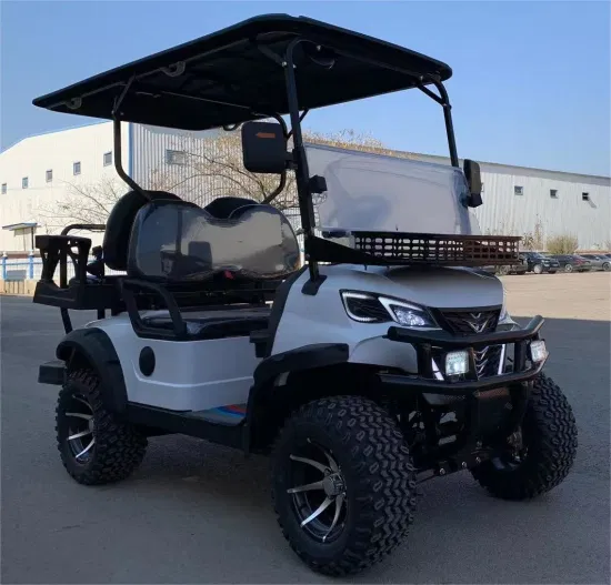 Cl 2024 Cheap off Road Hunting Buggy 5kw 48V Lithium Battery 4 6 Seater Club Car Electric Golf Cart for Sale