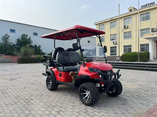 Cl Aluminum Alloy Frame and Accessories Street Legal 6 Seater Electric Golf Cart