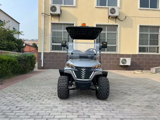 Cl New Design CVT Water Cooling Gas Golf Carts 2 4 6 8 Seater off Road Lifted Gas Powered Golf Cart