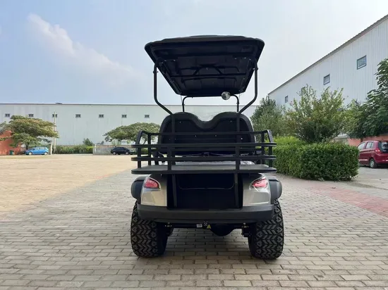 Cl New Design CVT Water Cooling Gas Golf Carts 2 4 6 8 Seater off Road Lifted Gas Powered Golf Cart