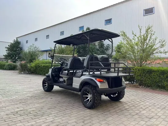 Cl Popular High Quality off-Road Club Car Golf Buggy Price Lifted Gas or Electric Power 4 Passenger Golf Cart for Sale