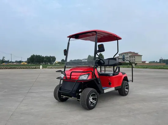 Custom 4 6 8 10 Seater Solar Power Lithium Batteries Folding Golf Carts Electric Golf Cart