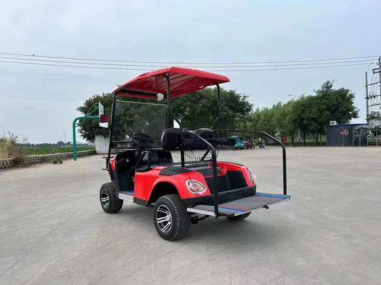 Custom 4 6 8 10 Seater Solar Power Lithium Batteries Folding Golf Carts Electric Golf Cart