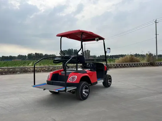 Custom 4 6 8 10 Seater Solar Power Lithium Batteries Folding Golf Carts Electric Golf Cart