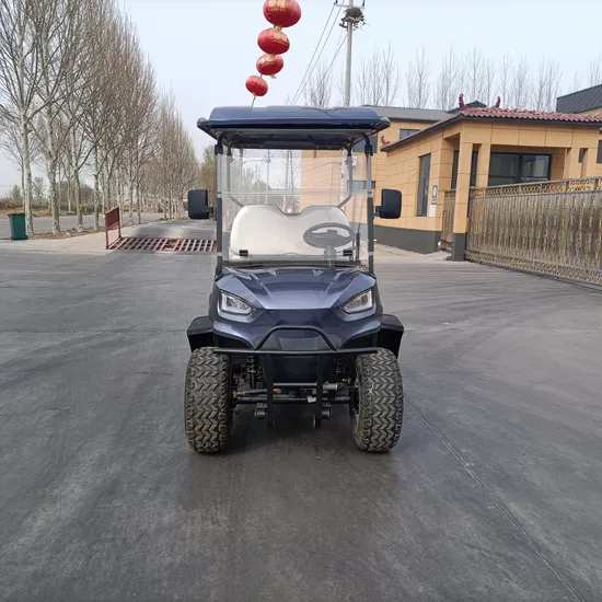 Customized Hunting Wholesaler Best Brand Cheap Electric Golf Carts 2+2 Seats M2+2 Golf Cart Golf Buggy