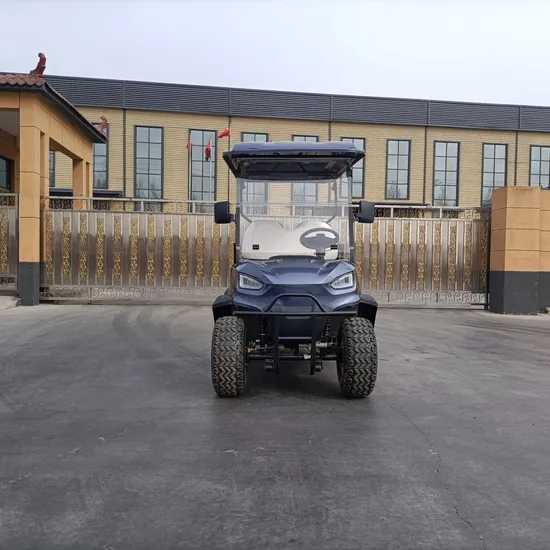 Customized Hunting Wholesaler Best Brand Cheap Electric Golf Carts 2+2 Seats M2+2 Golf Cart Golf Buggy