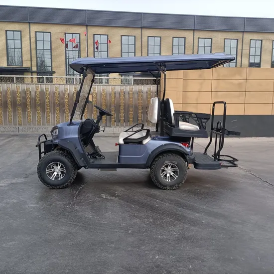 Customized Hunting Wholesaler Best Brand Cheap Electric Golf Carts 2+2 Seats M2+2 Golf Cart Golf Buggy