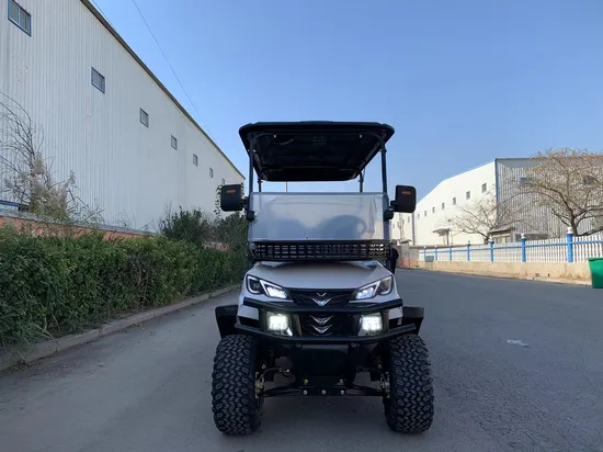 Factory Direct Sales Powerful Lifted 5kw Farm off Road Golf Car 48V 60V 72V Lithium Battery 4 6 Seater Electric Golf Cart