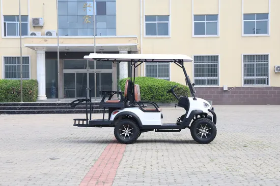 Hot New 4 Seater Mini Electric Club Car Vehicles Comfortable Solar Panels Beach Buggy Speakers Electric Golf Carts