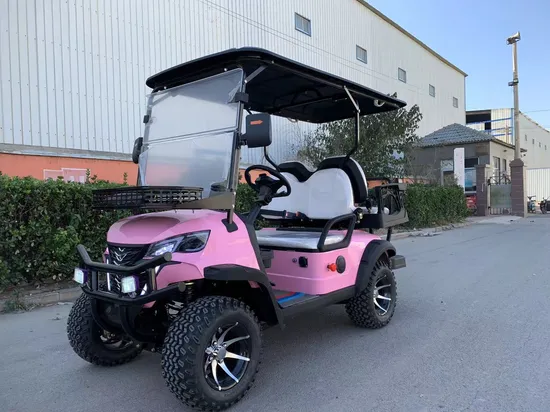 LC Custom Golf Cart Manufacturers 4 Wheel Drive Golf Cart Made in China China 4 2+2 Seater Utility Vehicle Golf Cart