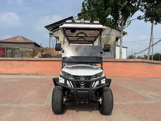 LC New 2024 Black Solar Panels Golf Carts 6 Passenger Street Legal Utility Electric Golf Cart