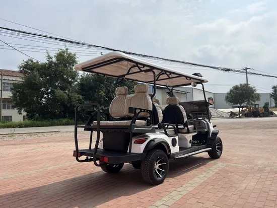 LC New 2024 Black Solar Panels Golf Carts 6 Passenger Street Legal Utility Electric Golf Cart