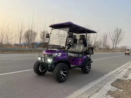 Lifted 72 Volt Lithium Golf Cart 6 Seater Golf Cart Car Electric Motor for USA Market