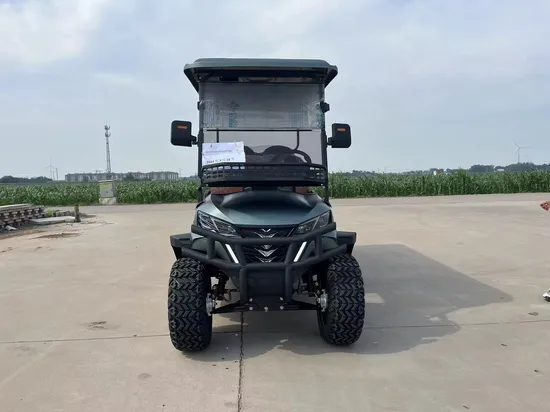 Street Legal 4+2 6 Seater 4 Wheel Drive Push Electric Golf Cart