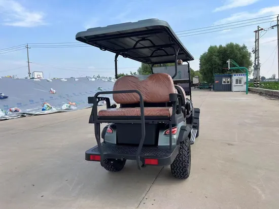 Street Legal 4+2 6 Seater 4 Wheel Drive Push Electric Golf Cart