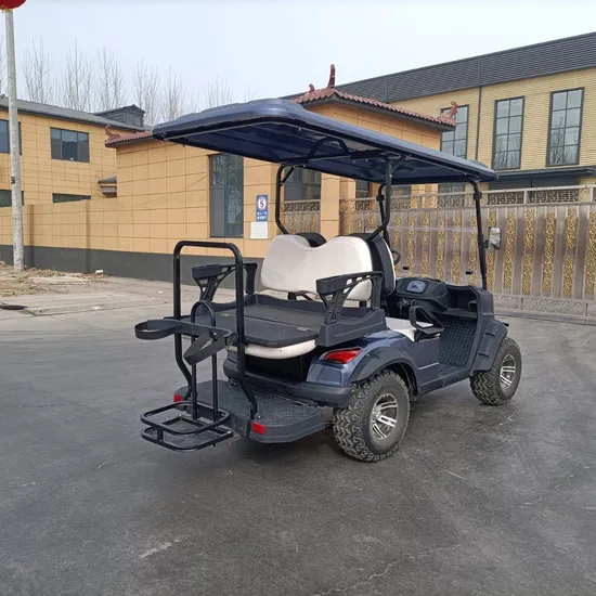 Street Legal Electric Lithium Battery Golf Cart/ 6 Seater 5000W Sightseeing Scooter 4 Wheel Solar Electric Golf Cart