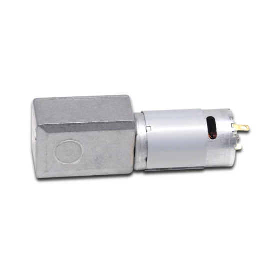 12V 24V 20rpm 100rpm Worm Geared Motor 3246 Gearbox RS395 DC Brushed Gear Motor with High Torque