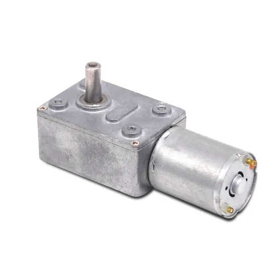 3246wg370 12 Volt DC Worm Gear Motor RS370 Brushed DC Electric Gear Motor with Screw Hole Shaft