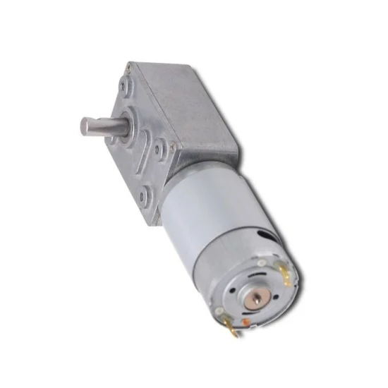 3246wg395 Worm Gear Motor Reducer 12V 24V Gearmotor 8rpm 15rpm Electric Motor for Industrial Equipment