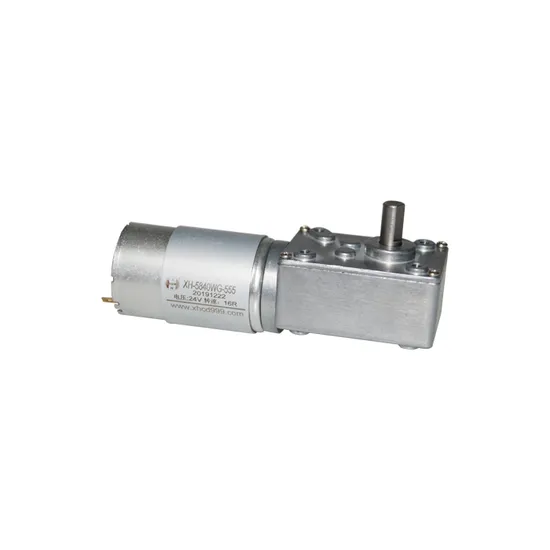 36mm Diameter RS555 Electric DC Gearmotor 5840wg555 12 Volt DC Worm Gear Motor for Lawn Mower