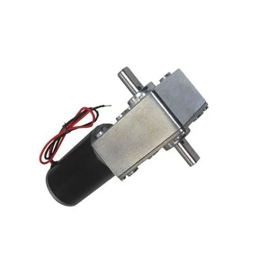 5840wg31 Micro DC Gear Motor 12V 24V 80kg 100kg Brushed DC Worm Gear Tubular Motor with Encoder