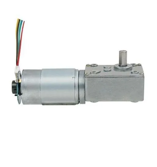 5840wg555 DC Gearmotor 12V 24V Electrical Motor RS555 DC Worm Gear Motor with High Torque