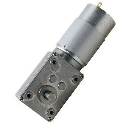 5840wg555 High Torque 12 Volt DC Worm Gear Motor RS555 Brushed DC Electric Gear Motor for Industrial Equipment