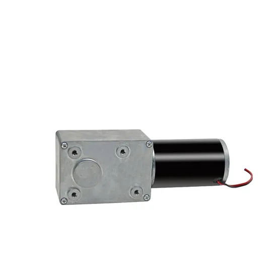 5882wg4575 Micro Gear Motor 12V 24V Tubular Electric DC Worm Gear Motor for Medical Machine