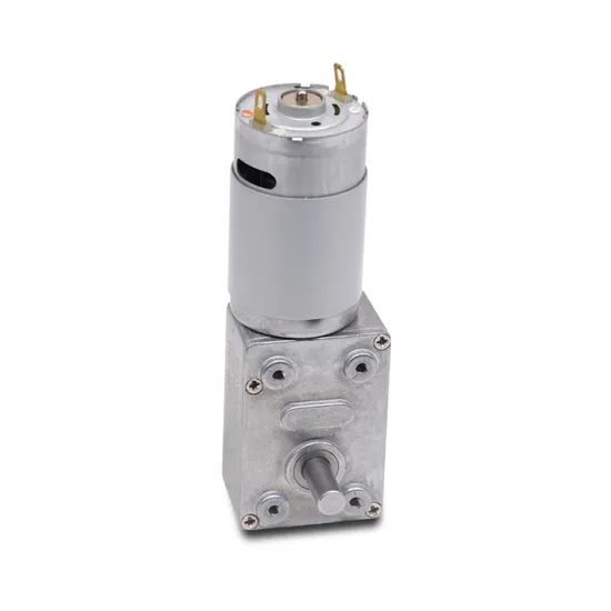 Brushed or Brushless DC Gearmotor 12V 24V Small Electrical Worm Gear Motor with High Torque Low Noise