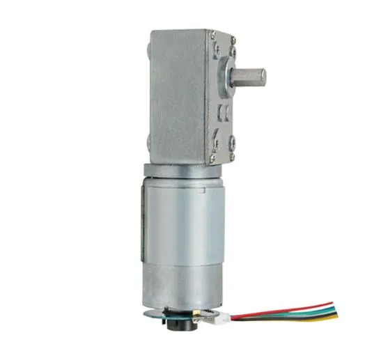 DC Geared Motor Gearbox RS555 Brushed DC Electrical Gearmotor 12V 24V Worm Gear Motor with High Torque Low Speed Long Worklife