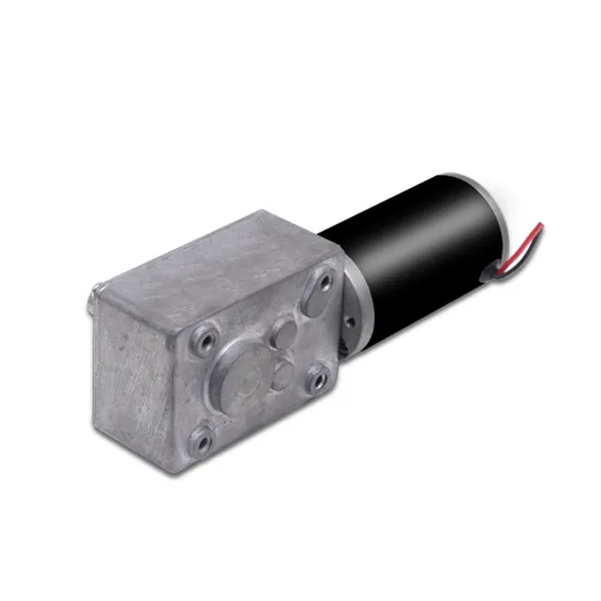 Good Quality 58mm*40mm Worm Gearbox 12V 24V DC Gearmotor Electrical DC Brushed Worm Gear Motor with Steel Tube Motor 31zy