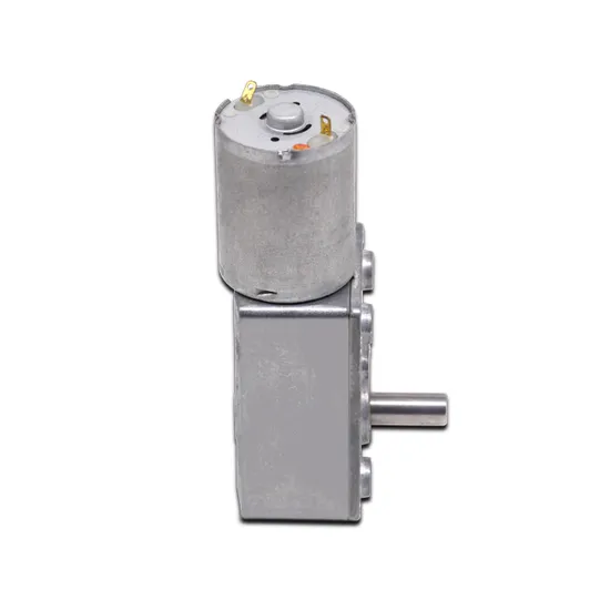 Mini Size Electric DC Worm Gear Motor 3246wg370 12V 24V Brushed Micro DC Motor for Automatic Feeder