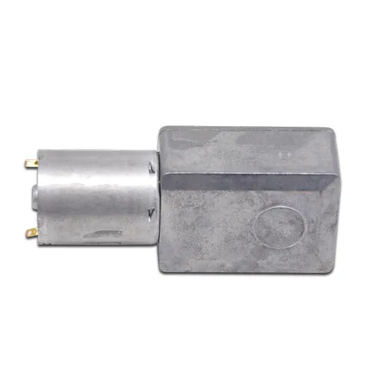 Mini Size Electric DC Worm Gear Motor 3246wg370 12V 24V Brushed Micro DC Motor for Automatic Feeder