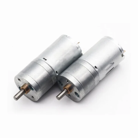 12V 18V 24V 36V 25mm Gearbox RS370 DC Gearmotor Brushed Electric High Torque Geared Motor with Long Shaft