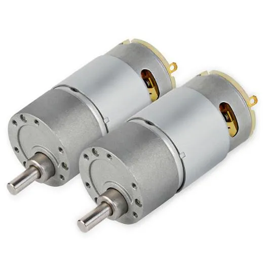 37mm DC Gearmotor 12V 24V 200rpm RS555 Brushed DC Electrical Spur Gear Motor for BBQ Machine