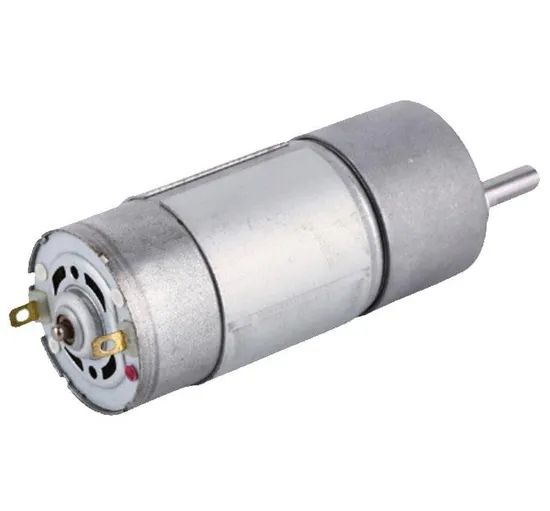 37mm DC Gearmotor 12V 24V 200rpm RS555 Brushed DC Electrical Spur Gear Motor for BBQ Machine