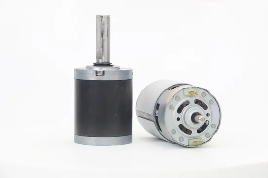 12V 24V 100kg 160kg 42mm Brushed DC Gear Motor 42xj775 Electric DC Planetary Gear Motor with High Torque