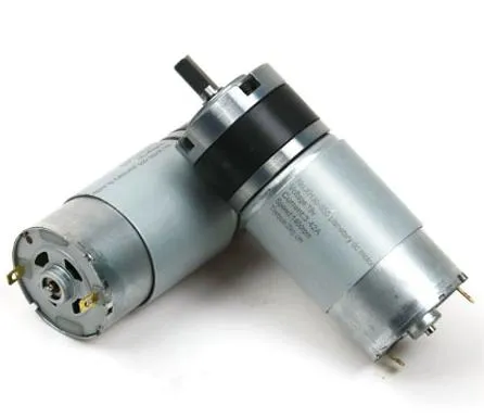 12V Gear Motor Pg36-RS555 DC Gearmotor 10rpm 80rpm 260rpm Electrical Motor with 36mm Planetary Gearbox